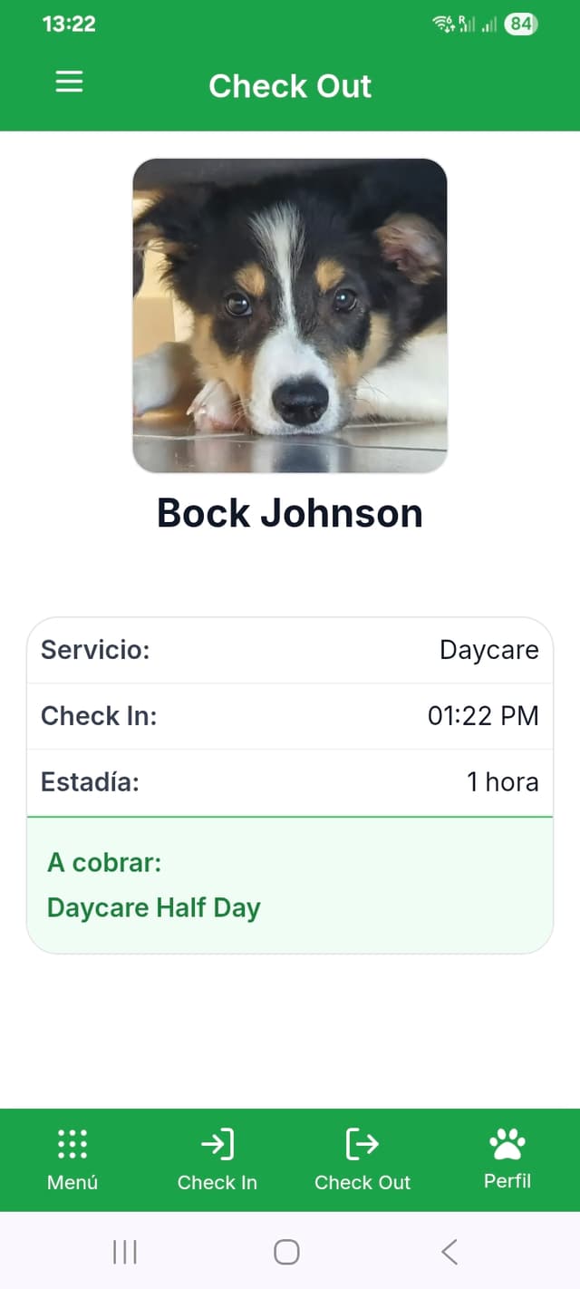 Check-out de un perro en Bockland